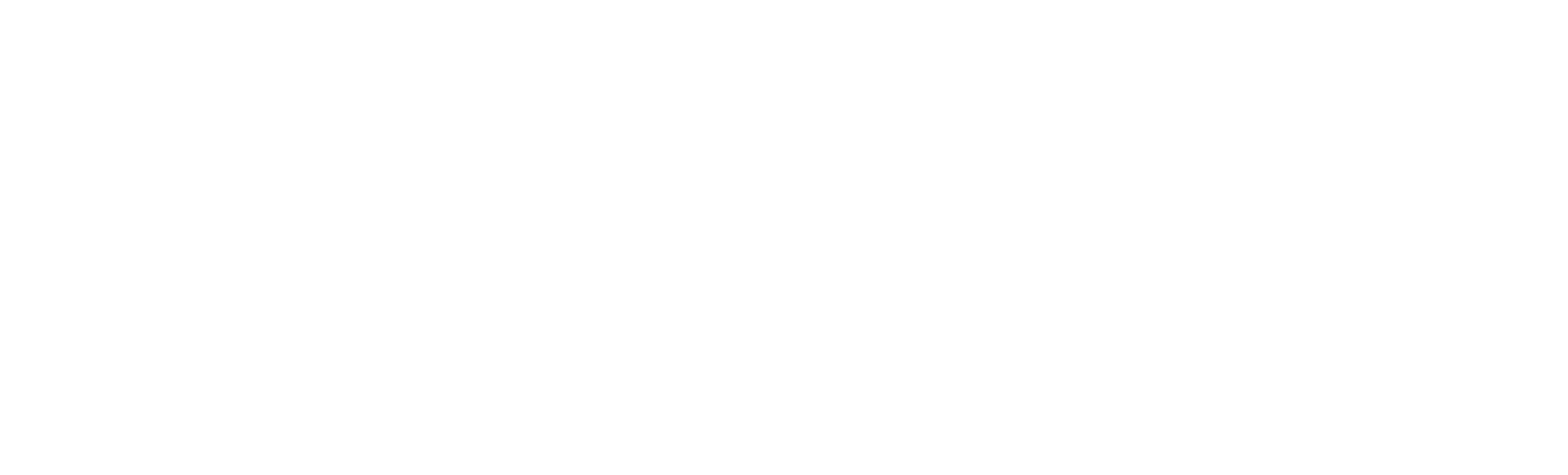 Apica Logo